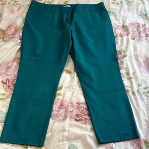 New York and Company